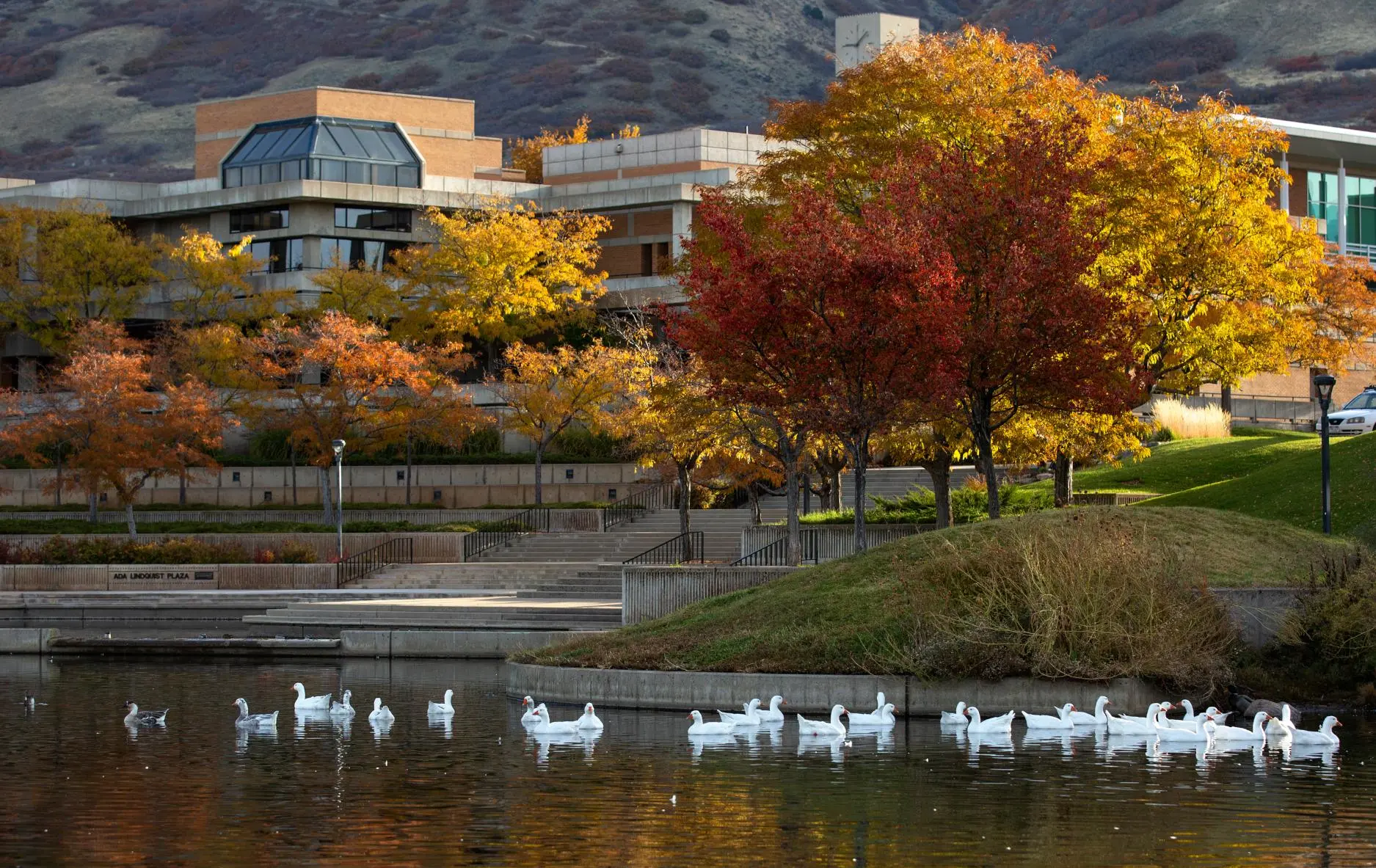 Weber State Campus - Fall (benjaminzack@weber.edu)